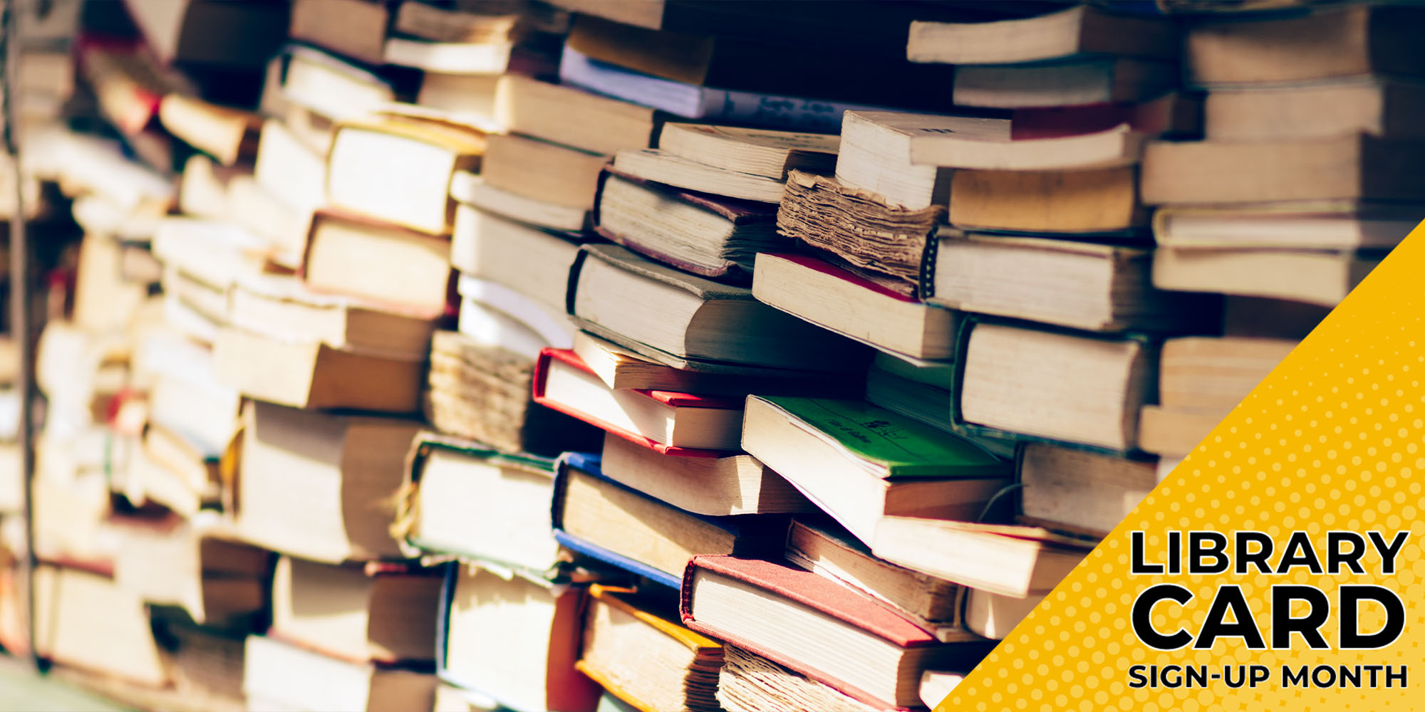 Books About Books on Hoopla