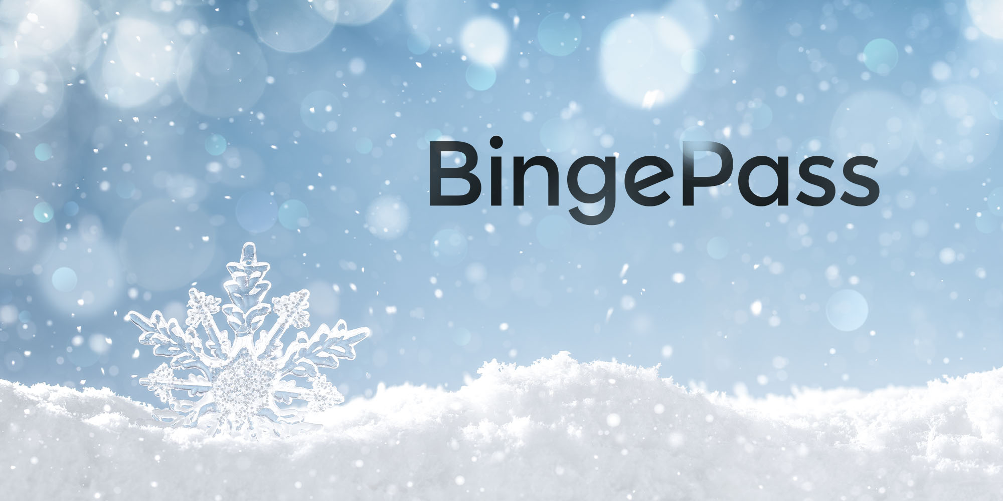 Winter WonderBinge on Hoopla with BingePasses