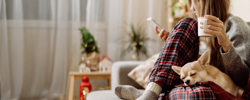 Winter WonderBinge on Hoopla with BingePasses