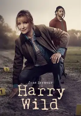 Harry Wilds - Season 4 cover art
