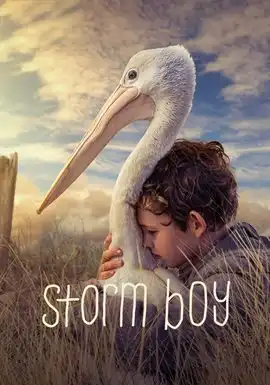 Storm Boy movie cover art
