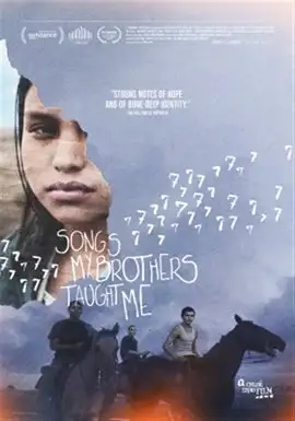 Songs My Brother Taught Me (2015): Director Chloé Zhao’s first film sensitively depicts marginalized lives, where ancient cultural identity is overwhelmed by modern realities of poverty, alcoholism, and violence. Watch it on Hoopla.