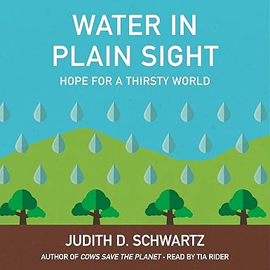 Water in Plain Site audiobook cover art