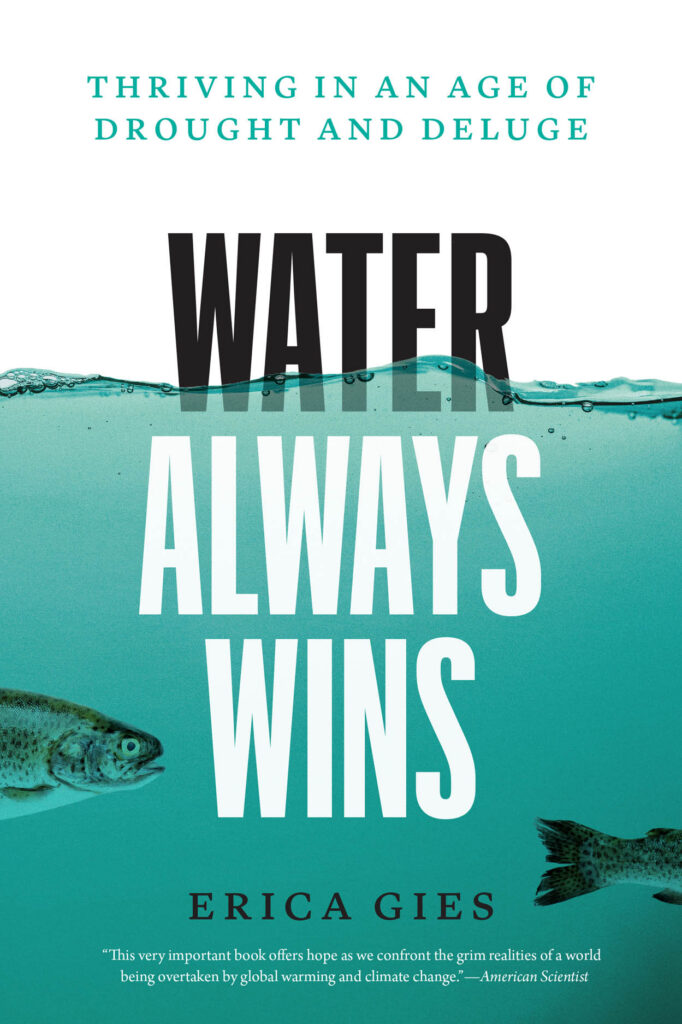 Water Always Wins eBook cover