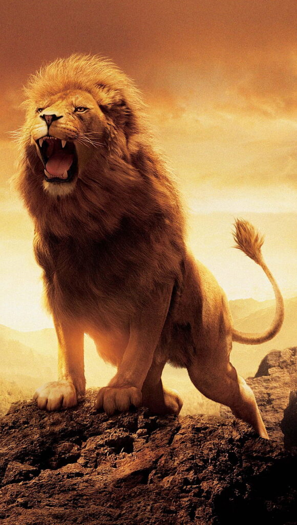 Aslan King of Narnia