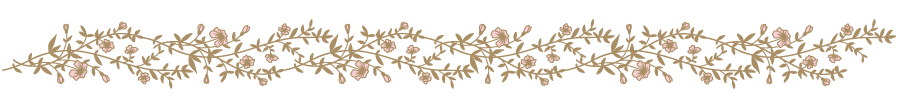 Vines with flowers to show a fairy tale divider