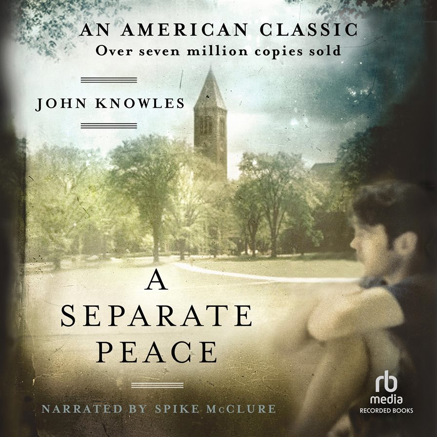 A Separate Piece audiobook cover