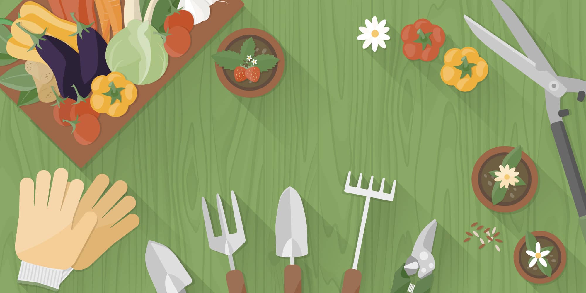 summer gardening